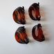 Набір краби, ракушки глянцеві/матові, збірна упаковка ( 12 шт) 6,5 см NS-0000065 фото 3